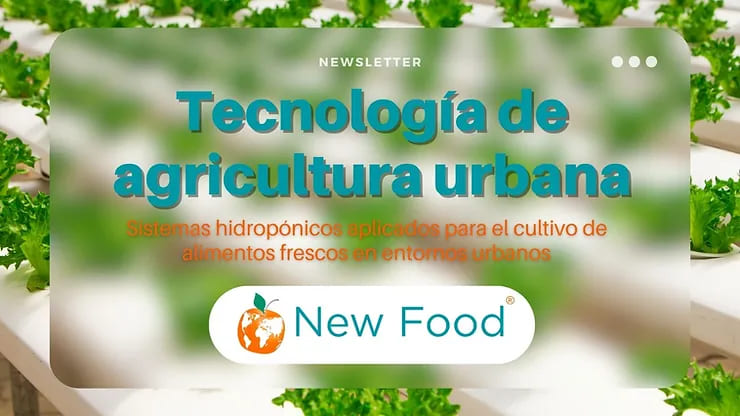 Explorando un Futuro Verde: Sistemas hidropónicos aplicados para el cultivo de alimentos frescos en entornos urbanos